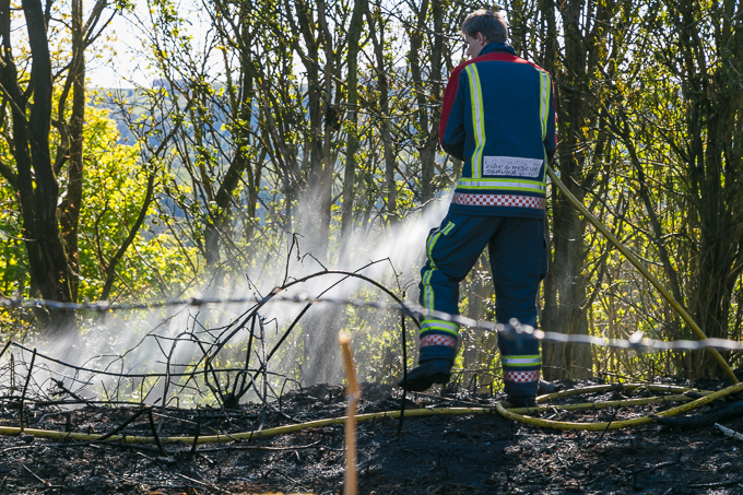 Fire Brigade 2017 (15)